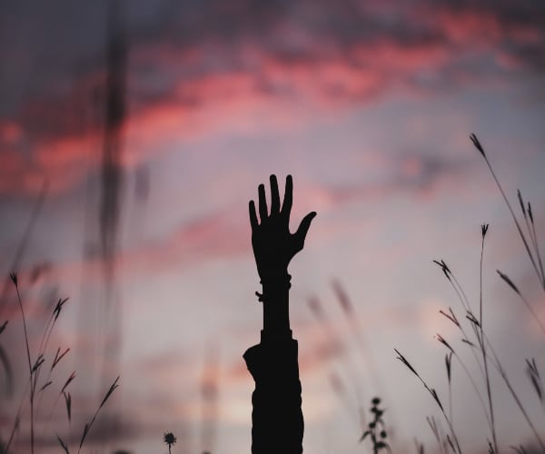 A silhouette of a raised hand reaches out against a colorful evening sky with pink and purple hues, symbolizing hope and new beginnings, much like the journey of adoption. Thin grass stalks gently sway around the hand.